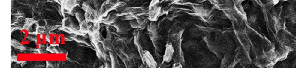 formation of MnOX nanoparticles on the outer surface of the bacteria (see upper SEM image of Supplementary Figure 5).