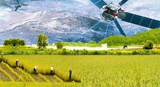 Remote Sensing and Crop Production