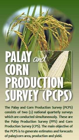 Palay and Corn Production Survey (PCPS) formerly Rice and Corn Production Survey (RCPS) Two