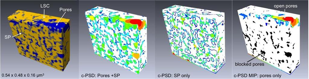 distribution of secondary phase in the sample sintered at 600 C is shown in Fig. 3, based on 3D-images from FIB-tomography. The simulation shown in Fig.