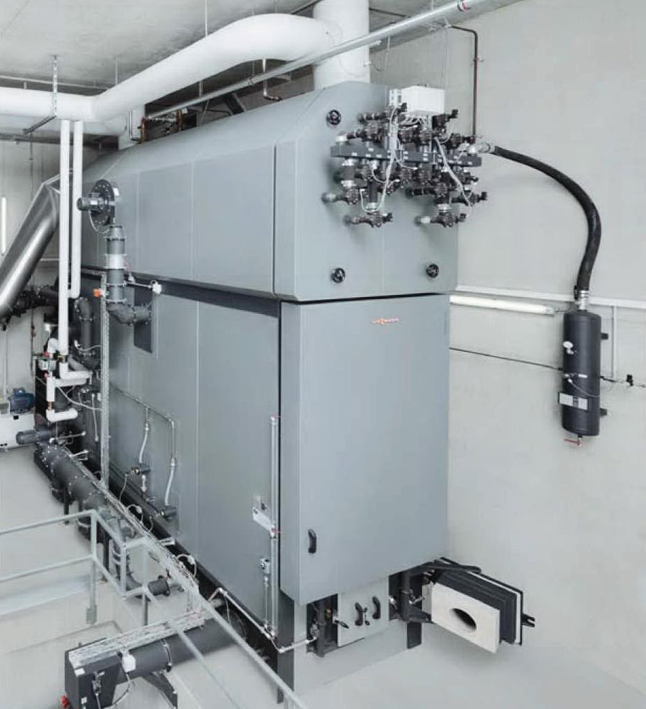 300-SRT for year round operation Natural gas boiler