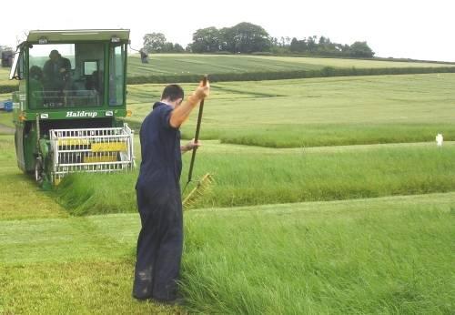How best to digest grass for biomethane