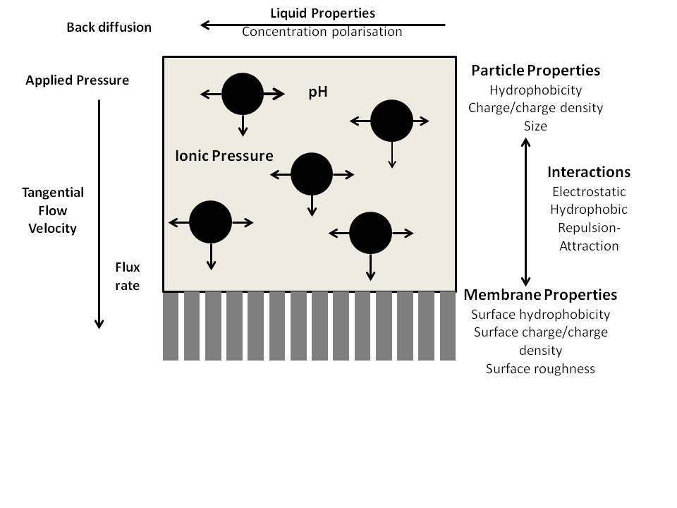 Selection of nanofiltration membranes Fig.6. Factors affecting the separation efficiency of nanofiltration/reverse osmosis Fig.