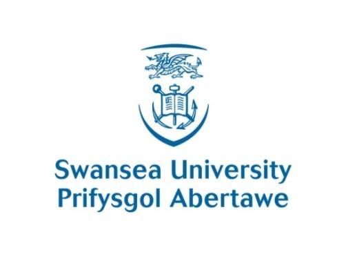 Introduction Low Carbon Research Institute (LCRI) Swansea University Group Project