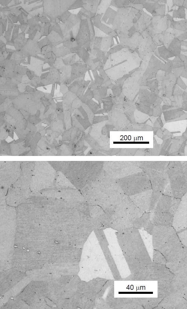 NICKEL BASE ALLOY 718 (UNS N07718) FOR OIL AND GAS DRILLING AND PRODUCTION EQUIPMENT 21 Figures 7 and 8 Acceptable Microstructure