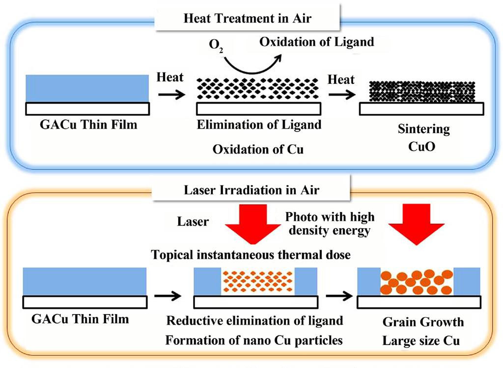 6 µm is the infrared laser, which can impart heat of a high energy density to the irradiated parts locally and also instantaneously. Ligands are instantaneously eliminated and destroyed by this heat.