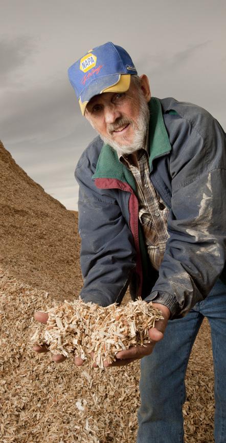 The Right Stuff - Wood Chip Attributes Wood chip quality varies dramatically in size, species, moisture, and impurities and that affects cost.