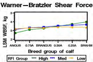 Research: Breed Composition & Carcass, Meat Palatability HATCH & TSTAR Projects Complete Angus-Brahman Multibreed Dataset (1989 to 29) 1,367 Steers 1% Angus to 1% Brahman Objective