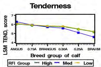 MAB 6 Meat Palat Trt: WBSF, TEND, CTI, JUIC, FLAV, OFLAV Number of steers by breed group of sire x breed group of dam combination Breed group of dam Breed group of sire Angus ¾ A ¼
