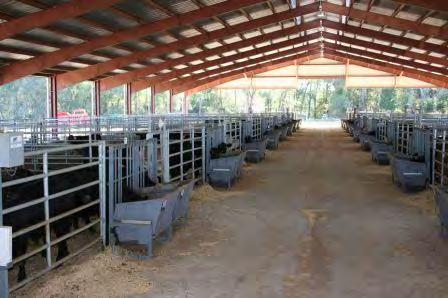 Brooksville (1 calves) Gainesville (388 calves) Marianna (93 calves) n = 581 Breed Group of