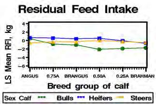 Daily Feed Intake Postweaning Gain (7 d) Breed DFI decreased as B % increased (more efficient) High RFI Group = -.97 ±.