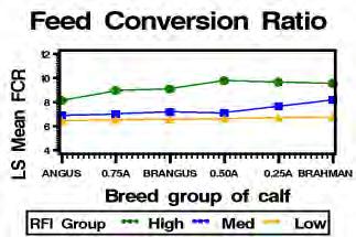 31 kg DM/d Heterosis DFI increased as Het % increased (less efficient) High RFI Group = 1.1 ±.35 kg DM/d Med RFI Group = 1.9 ±.