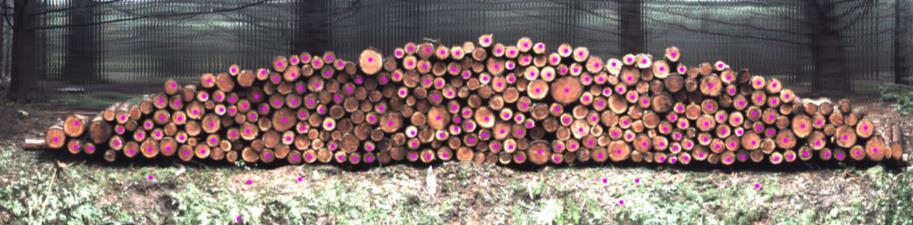 Results - Polterluchs Douglas fir (3 m) - 223 from 350 (64 %) recognized logs - 2.24 min processing time 05.03.