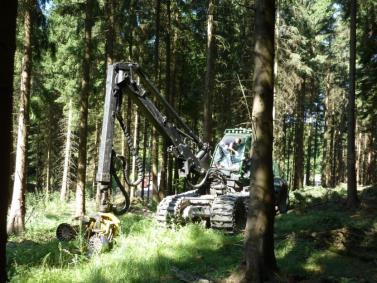 Harvested stand Norway Spruce Owner: State Forest Nordrhein-Westfalen 50 60 years Max.