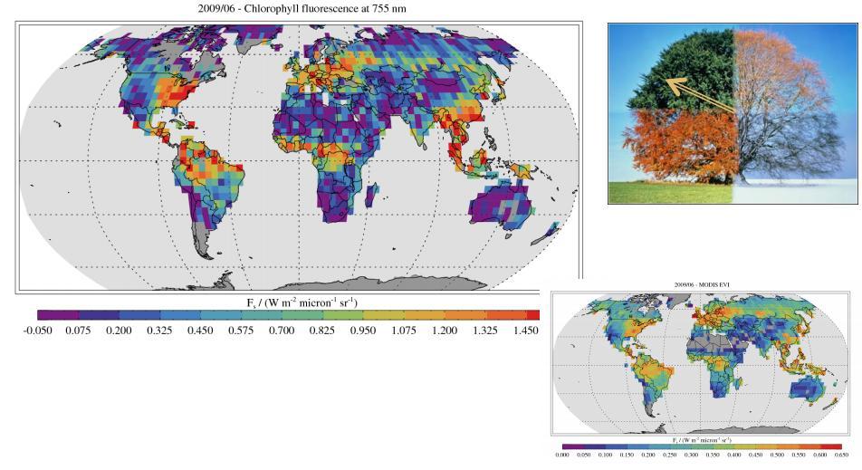 CarbonSat Secondary Product: Vegetation Fluorescence from O2 A Band region Fluorescence can help constraining gross primary production (GPP) Other