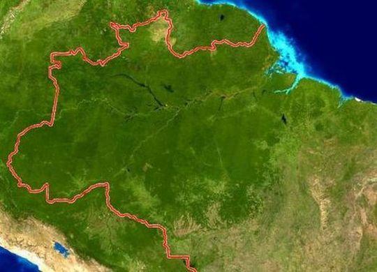 AMAZON FOREST... THE LAST ADVENTURE IN THE TROPICS 4.196.