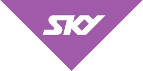 SKY Advertising Advertising Terms and Conditions 1 AGREEMENT 1.