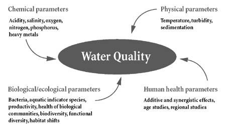39 Why water quality is important on a Farm. What kinds of parameters and abnormalities might exist in Water Quality on a farm?