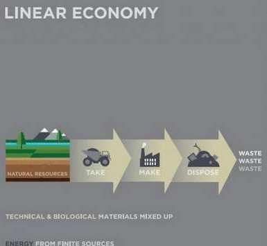 Transition from a linear to a circular economy Circular Economy
