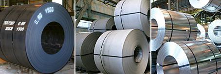Carbon steel hot rolled Coils, Pickled and Galvanized Production Capacity: 3.000.000 tpy Annual Turnover: 1700 million 1.340 Employees Surface Area: 750.
