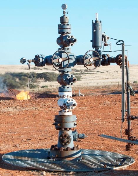 Flare Gas LPG Optimised Flax Oil Production