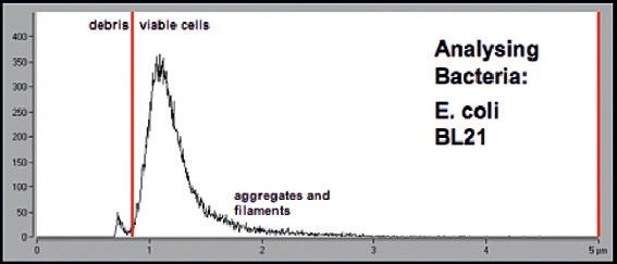 Determination of cell proliferation Cell proliferation strongly depends on the conditions used to grow up the cells.