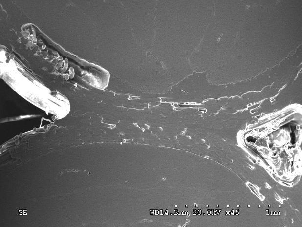 Figure 6. SEM micrograph at the intersection of 2 strands Figure 7. View of tubular shape of the pores Figure 8. Cross section of a strand at medium magnification Figure 9.