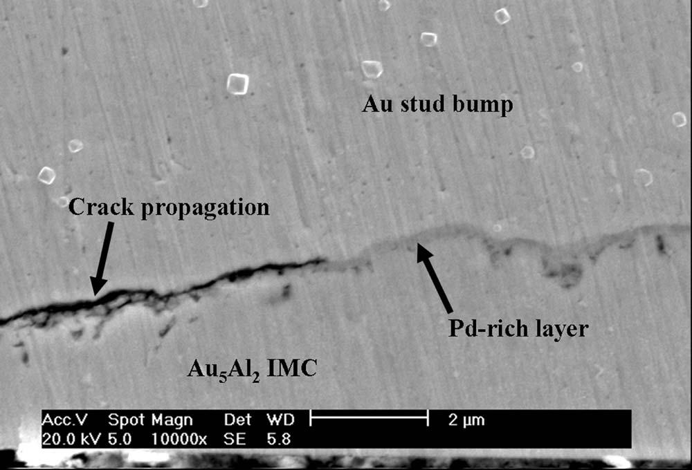 However, Pd, which did not join the reaction, was accumulated at the gold stud bumps and the IMC layer and formed a continuous layer.