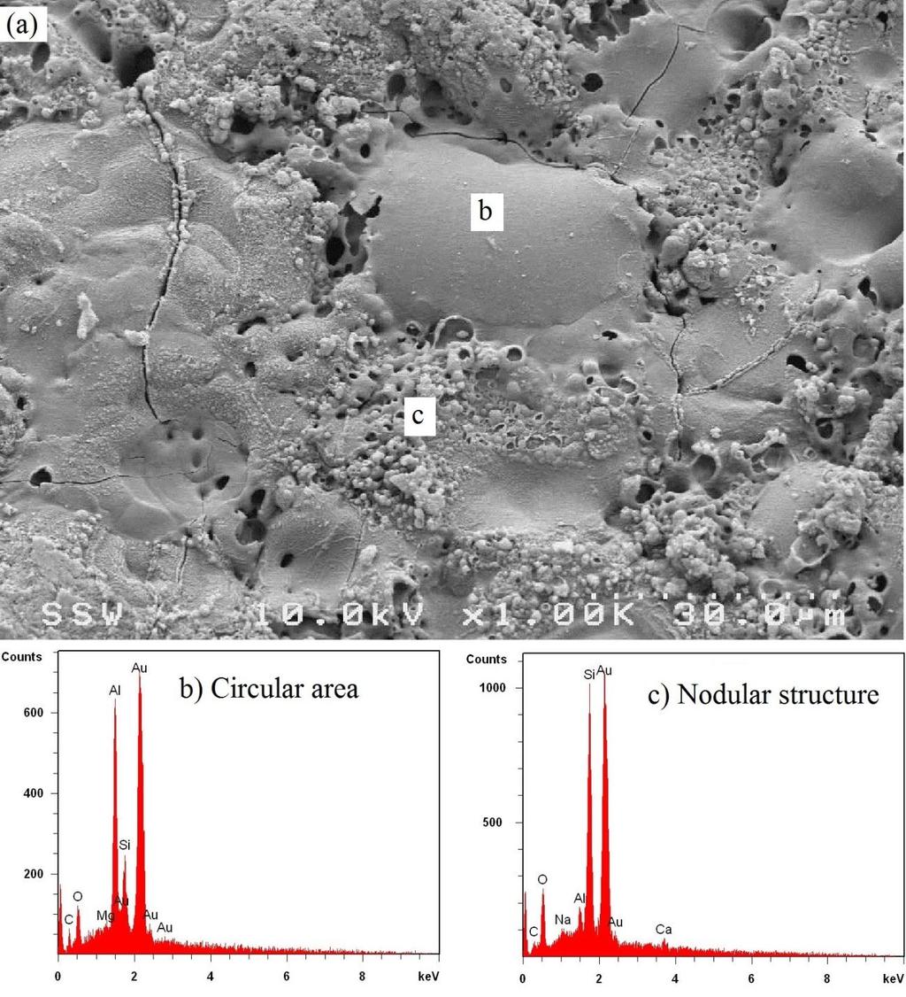 The formation of the nodular structure with a bubble-like appearance on the surface of the PEO coatings could be linked to gas liberation on the surface of the anode during the coating process.