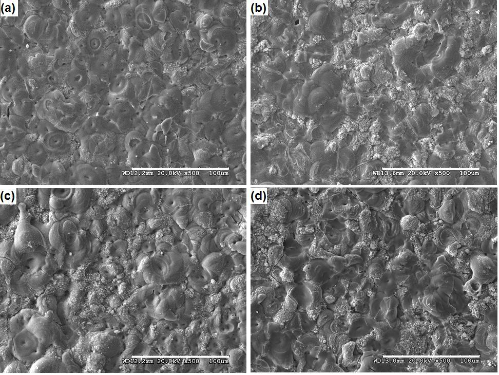 Figure 5.2- SEM images (secondary electron mode) of free surface of PEO coatings on samples (a) S12-10, (b) S18-10, (c) S52-10 and (d) S58-10.