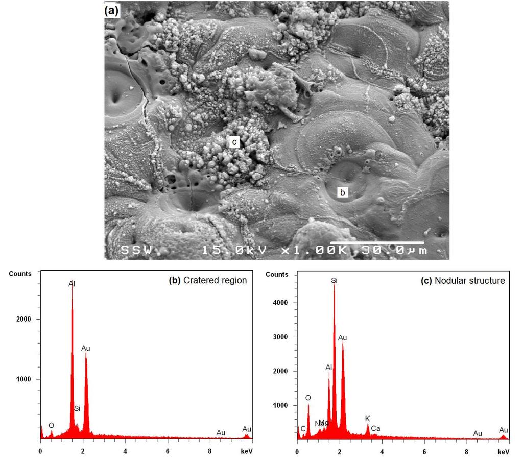Figure 3.3- (a) SEM image (secondary electron mode) of free surface of PEO coating on sample C8; (b) and (c) EDX analysis from regions b and c respectively.