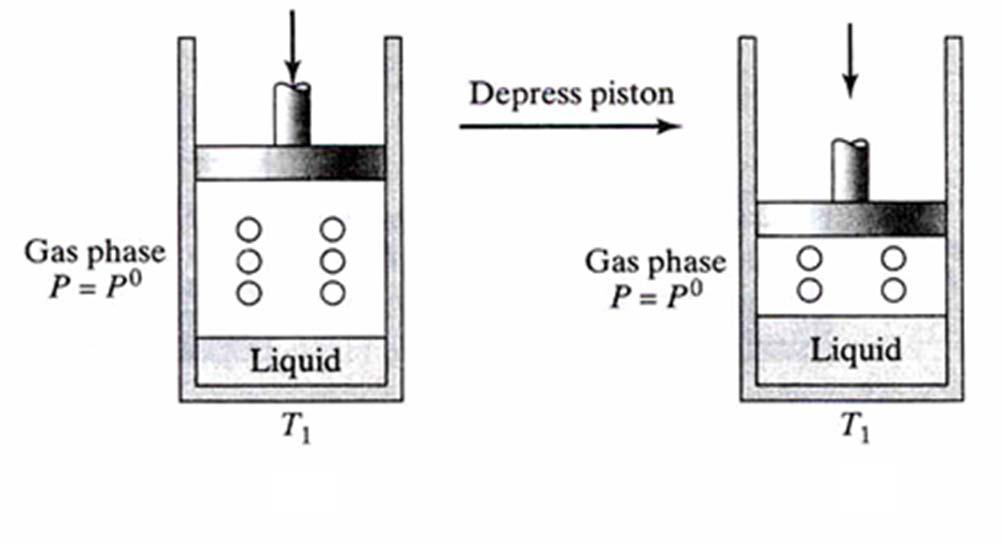 A phase of matter is characterized by having relatively uniform chemical and