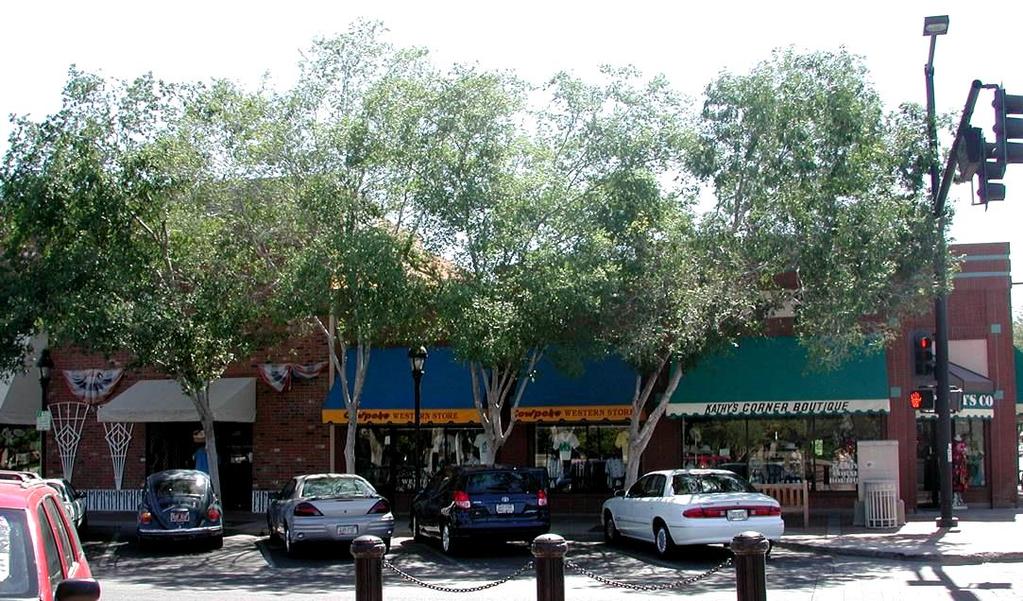 Trees are Good for Business In tree-lined commercial districts.
