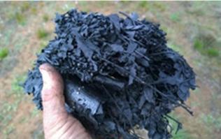 Economic Considerations Price of biochar depends on: Feedstock use low cost feedstock / feedstock that costs money to dispose of (e.