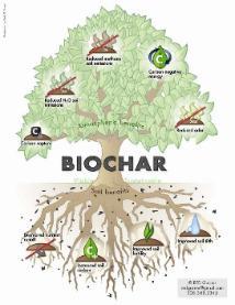 Why is Biochar Important? Fighting climate change, whilst improving soils Carbon negative removes CO2 from atmosphere.