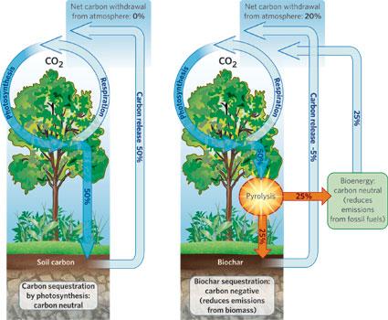 Figure 3. Carbon Cycle for Soil Carbon and Biochar Source: J. Lehmann, A Handful of Carbon, 2007. Nature 447, pp. 143-144.