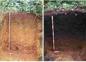 Terra Preta Purposefully made charcoal rich soil amendment Ancient civilizations in Amazon Rain Forest: