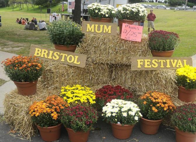 Once known as the Mum City, Bristol was famous for this colorful flower, and through the years proud Fall festivities were put on by residents for all in the region to enjoy!
