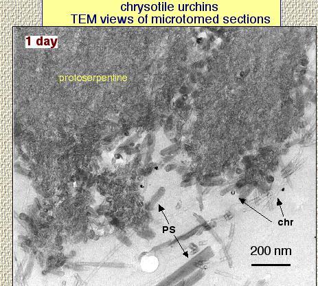 Ultramicrotoming (continue) advantages unique for powders, fibers, synthesis charges chemically extremely clean ready for the TEM drawbacks not for big and hard materials sample bent and