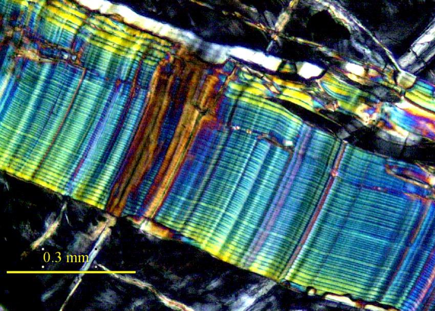Crossed nicols light microscopy to place the slots thin section -recognize the minerals from their optical properties -crystallographic orientation with 15