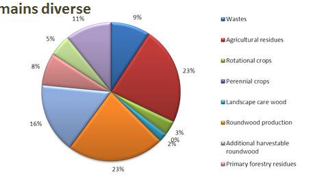 Feedstock matrix remains diverse 2010 2020 12% 8% Wastes 5%