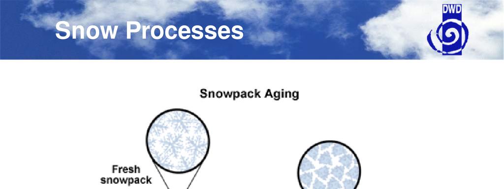Snow aging processes