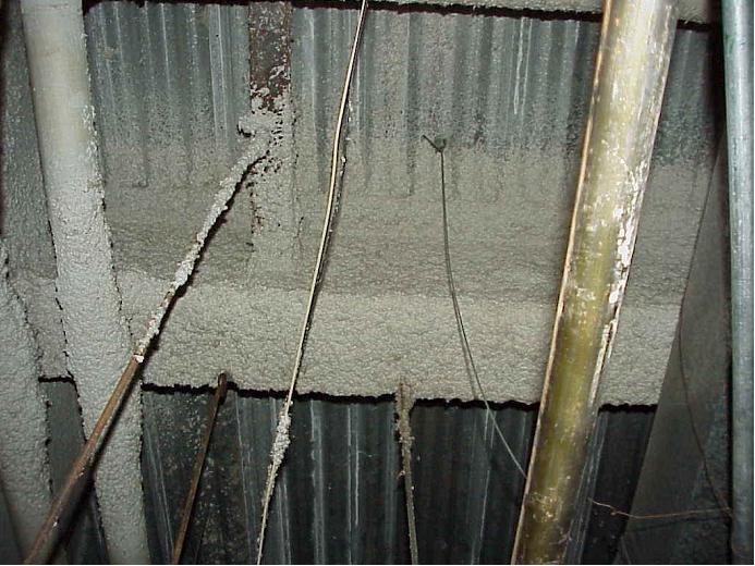 Materials presumed to contain asbestos, especially if installed before 1981, include: Thermal system insulation