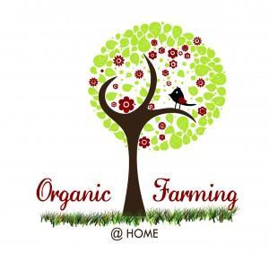 Organic vs Conventional Farming Salient Features