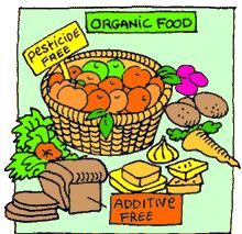 What comes to mind when you think about organic food? 4 What is Organic Farming?