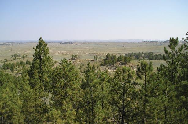 Forested Areas Along the Breaks of the Missouri River in Eastern Montana, USA Theresa Jain,