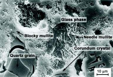 Materials Figure 3: Microstructure of an alumina porcelain, ground and etched, under a scanning electron microscope The difference between quartz porcelain and alumina porcelain lies in the