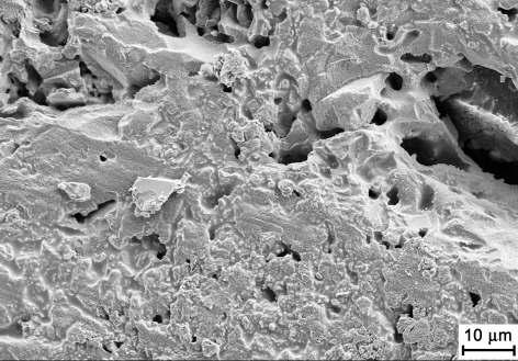 Materials Figure 5: Microstructure of a porous cordierite (C 520) Cordierite materials have a low coefficient of thermal expansion.