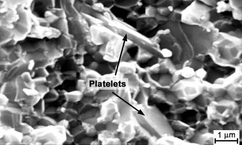 Materials Figure 17: ZTA with a high proportion of zirconium oxide, shown as a breakage microstructure in order to reveal the platelets 3.4.2.