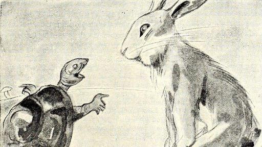 Learn From The Tortoise & The Hare Culture can be changed one metric at a time Culture
